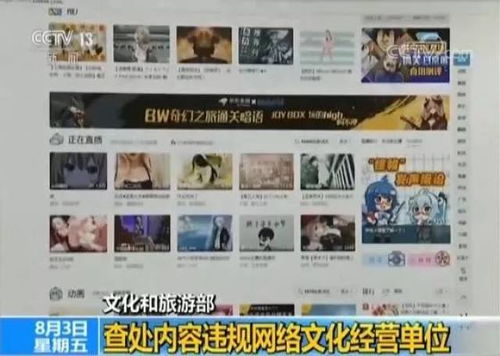 重拳出擊！文化和旅游部查處內容違規網絡文化經營單位，為網絡文化清朗空間保駕護航